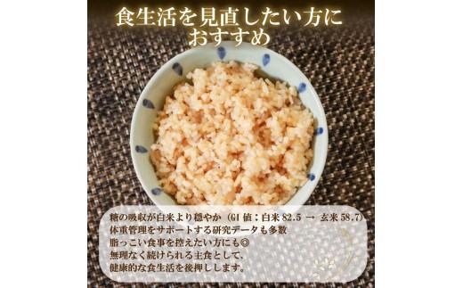 定期便 3回 こしひかり 玄米ごはんパック 120g 24個 玄米 米 お米 ごはん ご飯 こめ パックライス パックご飯 パックごはん ご飯パック ごはんパック パック ライス 備蓄 保存 非常 防災 電子 レンジ 温めるだけ レンチン 簡単 健康 ダイエット 美容 ヘルシー 24 24食 レトルト インスタント おいしい 人気 おすすめ 大阪 松原