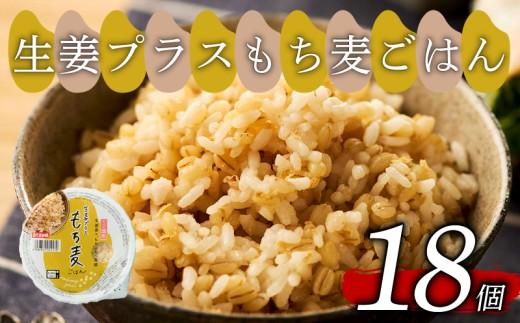 生姜プラスもち麦 ごはんパック 160g 18個 生姜 もち麦 麦 米 ごはん ご飯 こめ パックライス パックご飯 パックごはん ご飯パック ごはんパック パック ライス 備蓄 防災 保存 電子 レンジ 温めるだけ レンチン 簡単 調理 健康 美容 ヘルシー ダイエット レトルト インスタント おいしい 人気 おすすめ 国産 食物繊維 穀物 個包装 18 18食 おくさま印 大阪 松原