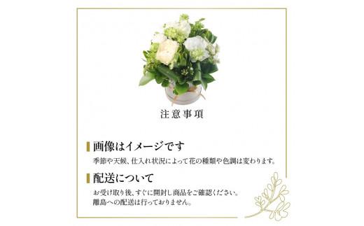 蟄」遽髯仙ョ 繝輔Λ繝ッ繝シ繧「繝ャ繝ウ繧ク繝。繝ウ繝 繝帙Ρ繧、繝 繧ー繝ェ繝シ繝ウ 闃ア譚 繝悶シ繧ア 闃ア 縺願干 縺顔・昴> 雍育ュ皮畑 雍医j迚ゥ 隱慕函譌・ 繧ョ繝輔ヨ 繝励Ξ繧シ繝ウ繝 豈阪ョ譌・ 繝ゥ繝繝斐Φ繧ー 繧、繝ウ繝繝ェ繧「 縺翫∪縺九○ 螟ァ髦ェ蠎 譚セ蜴溷ク