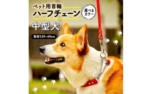 ペット用首輪 ハーフチェーン 中型犬用 オレンジ 首回り39-45cm ペット 犬 愛犬 ワンちゃん 中型犬 首輪 リード 本革 レザー 牛革 牛 散歩 さんぽ ウォーキング 健康 おしゃれ 消耗品 大阪府 松原市