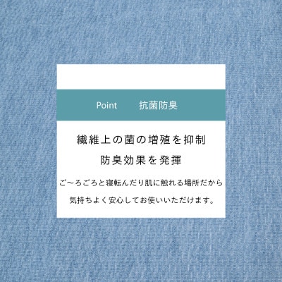 カーペット 日本製 抗菌防臭 軽量薄手 ジェミニ 261×352cm 江戸間 6畳用 ブルー【1517179】