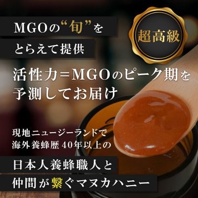 【毎月定期便】ストロングマヌカハニー【MGO1050+】500g×2個　全12回【配送不可地域：離島】【4050122】