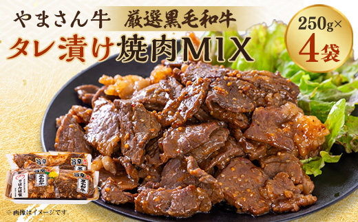 黒毛和牛やまさん牛　タレ漬け焼肉MIX250g×4【配送不可地域：離島】【1607963】