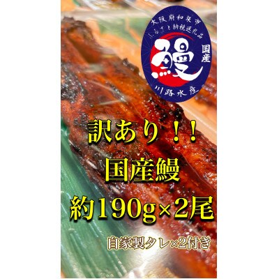 〈訳があってもよろしいでしょうか?〉訳あり国産うなぎ蒲焼き×2尾【配送不可地域：離島・北海道・沖縄県】【1525136】