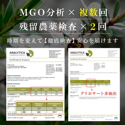 【2ヵ月毎定期便】ストロングマヌカハニー【MGO860+】500g×1個　全3回【配送不可地域：離島】【4050097】