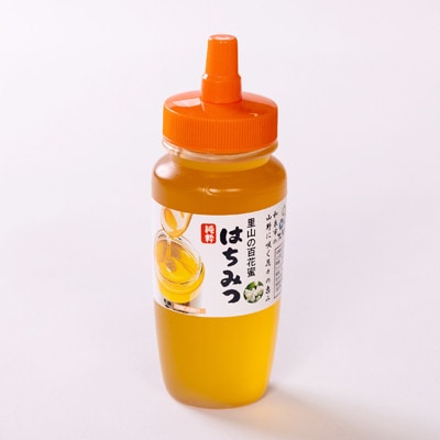道の駅で大人気のハチミツ(250gノズル付きボトル　1本)【1657705】