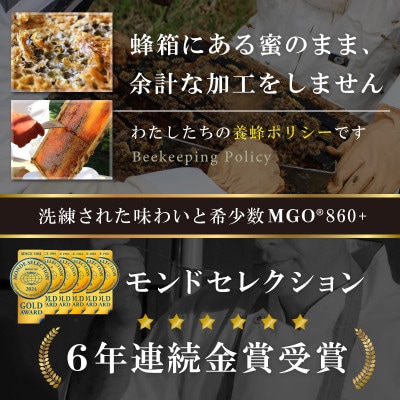 【2ヵ月毎定期便】ストロングマヌカハニー【MGO860+】500g×2個　全3回【配送不可地域：離島】【4050136】