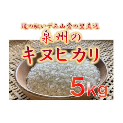 大阪府和泉市の農家さんが心を込めて作ったキヌヒカリ　一袋5kg。道の駅で大好評。【1498576】