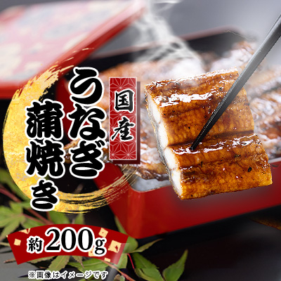 絶品!!国産うなぎ蒲焼き　特大サイズ(約200g)【配送不可地域：離島】【1659583】