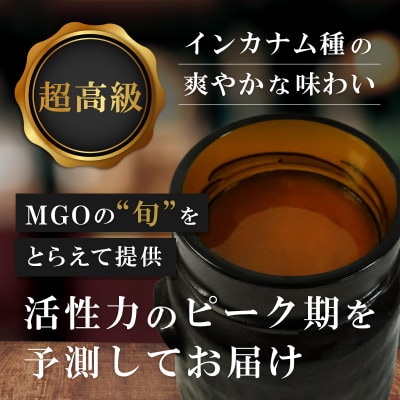 【2ヵ月毎定期便】インカナム マヌカハニー【MGO220+】250g×2個　全3回【配送不可地域：離島】【4050146】