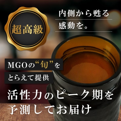 【2ヵ月毎定期便】ストロングマヌカハニー【MGO860+】500g×2個　全3回【配送不可地域：離島】【4050136】