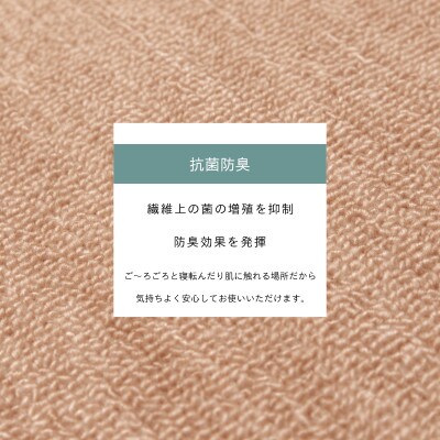 ã«ãŒããã æ±æžé 4.5ç³ é²é³ æèé²è åæ ãã¯ãã 261Ã261cm ããŒãžã¥ æ¥æ¬è£œã1520479ã