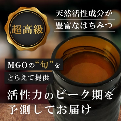 【2ヵ月毎定期便】インカナム マヌカハニー【MGO550+】500g×1個　全3回【配送不可地域：離島】【4050102】