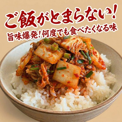 本場の熟練シェフが作る自家製白菜キムチ300g×2　無添加　韓国料理Rhami【配送不可地域：離島】【1729810】