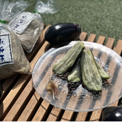 水茄子(生)5個・水茄子糠漬け(5個)セット【配送不可地域：離島・北海道・沖縄県】【1734582】