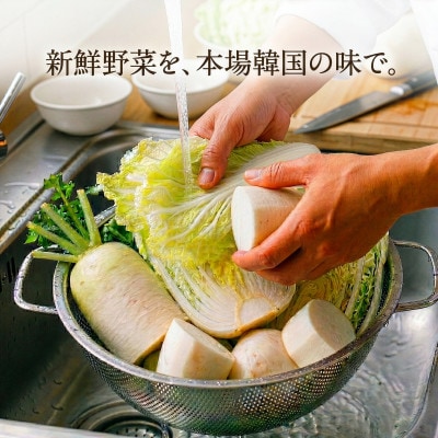 本場韓国の味が楽しめる!大阪府和泉市のお店「韓国料理Rhami」で使えるお食事券3000円分【1730872】