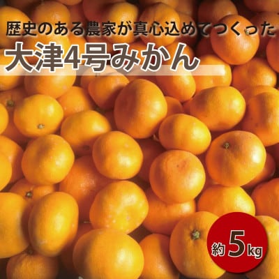 【2027年1月順次発送!】100年以上続くみかん農家がつくる「みかん(大津4号)」約5kg【配送不可地域：離島】【1738393】