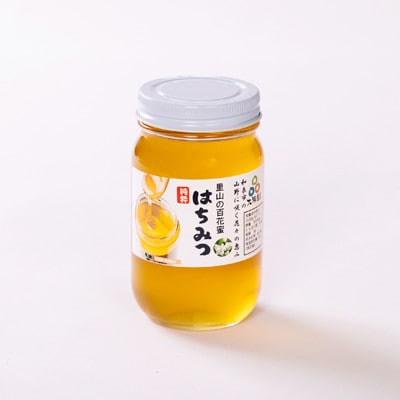 道の駅で大人気のハチミツ(300g瓶詰×2本)【1657822】