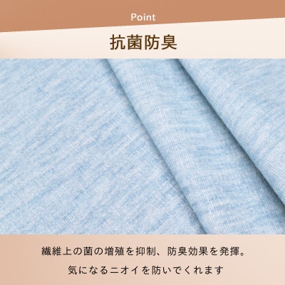 防ダニ カーペット 4.5畳 日本製 抗菌防臭 ノースポール 江戸間 261×261cm ブルー【1639034】