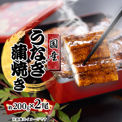 絶品!!国産うなぎ蒲焼き　特大サイズ(2尾×約200g)【配送不可地域：離島】【1668045】