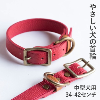 首輪 本革 イタリアンレザー レッド 中型犬用 (34-42センチ)ペット用品【dc-01ss】【1663229】