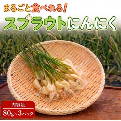 【9月中旬から4月中旬の発送】まるごと!スプラウトにんにく(80g×3パック)栄養満点スーパーフード【配送不可地域：離島】【1735503】