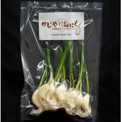 【9月中旬以降順次発送!】まるごと!スプラウトにんにく(80g×5パック)　栄養満点スーパーフード【配送不可地域：離島】【1735501】