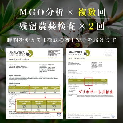 【毎月定期便】インカナム マヌカハニー【MGO550+】500g×2個　全12回【配送不可地域：離島】【4050140】