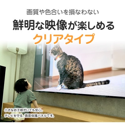大阪府和泉市　有機ELテレビ55インチ用　テレビ画面保護パネル　クリアタイプ　テレビガード【1669373】