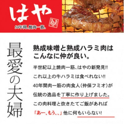 「50年の技が光る」 牛肉ハラミ 2.1kg (350g×6) 老舗焼肉店秘伝のタレ仕込み【配送不可地域：離島】【1590152】