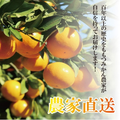 ã2027幎1æé 次çºé!ã100幎以äžç¶ãã¿ãã蟲家ãã€ãããã¿ãã(宮巿©ç)ãçŽ5kgãé
éäžå¯å°åïŒé¢å³¶ãã1738394ã