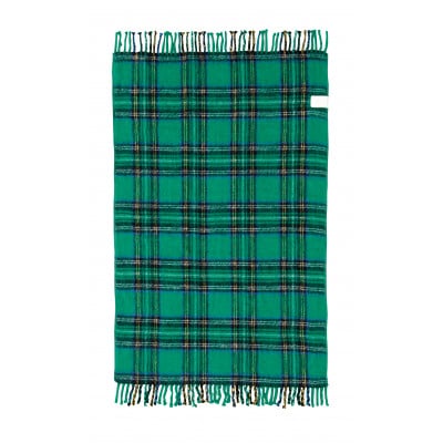 電気ひざかけ　(電気ブランケット)　グリーン(約140×82cm)【1608430】