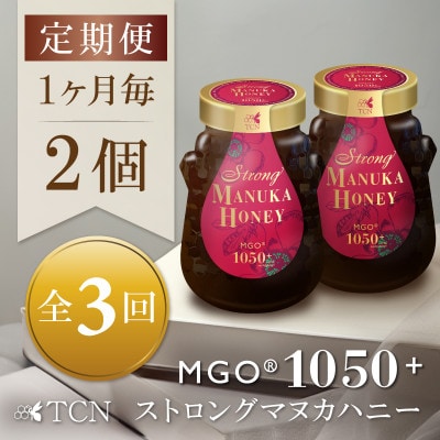 【毎月定期便】ストロングマヌカハニー【MGO1050+】500g×2個　全3回【配送不可地域：離島】【4050119】