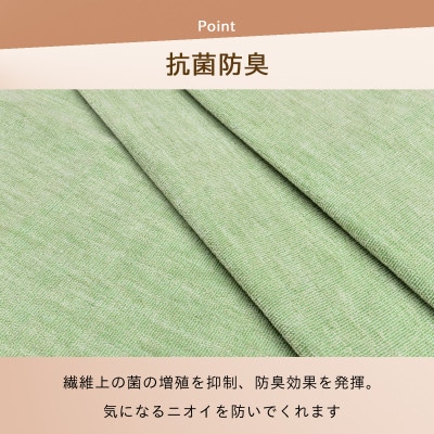 防ダニ カーペット 4.5畳 日本製 抗菌防臭 ノースポール 江戸間 261×261cm グリーン【1639057】