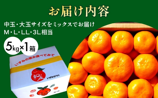 隠れ名産地　蔵出し熟成和泉みかん(中玉・大玉サイズミックス)5kg【1499001】