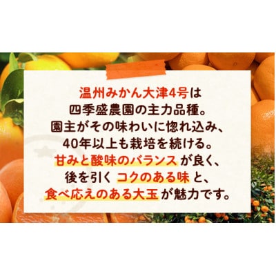 四季盛農園の本貯蔵 蔵出しみかん5Kg　【1月中旬頃から順次発送】【1581525】