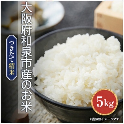【発送月固定定期便】大阪府和泉市の農家さんが心を込めて作ったお米　1袋5kg　【単一品種】全3回【4086244】