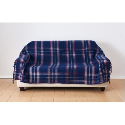 ホットスローケット　(電気ブランケット)　ネイビーブルー(約170×130cm)【1608415】