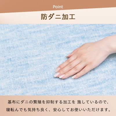 防ダニ カーペット 4.5畳 日本製 抗菌防臭 ノースポール 江戸間 261×261cm ブルー【1639034】