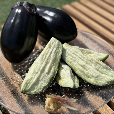 水茄子(生)5個・水茄子糠漬け(5個)セット【配送不可地域：離島・北海道・沖縄県】【1734582】