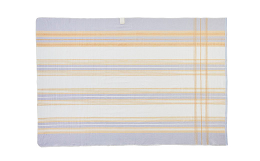 電気掛敷兼用毛布　約188×130cm【1435012】