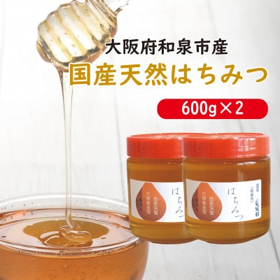 大阪府和泉市　国産天然はちみつ(600g×2)　日蜂協会員　無添加　自家採蜜　大植養蜂園【1680107】