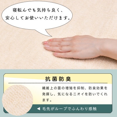 カーペット 江戸間 6畳 防音 抗菌防臭 厚手 ツワブキ 261×352cm アイボリー 日本製【1638493】