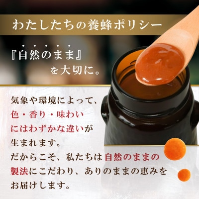 インカナム マヌカハニー 500g  MGO 550+　6個セット【1701613】