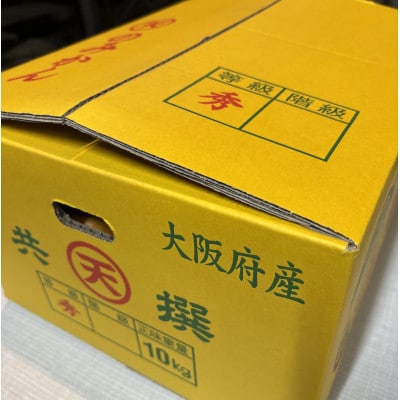 先行予約　大阪府和泉市産 宮川早生 和泉みかん 1ケース10Kg 11月中頃より発送【1606250】