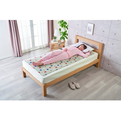 電気綿敷毛布ロング (電気毛布)(約180×80cm)【1608411】