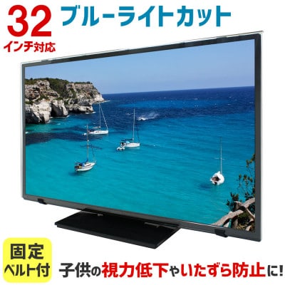 32MBL5　32インチ用　テレビ画面保護パネル　ブルーライトカットタイプ　位置調整用スペーサー付【1669390】