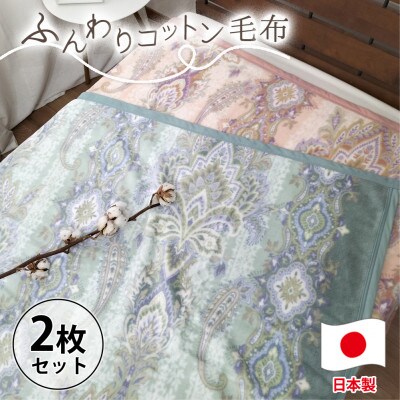 【シングルサイズ2枚組】オールシーズンふんわりやわらか綿毛布   MO-110-2P【1506866】