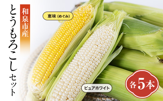 和泉市産のとうもろこしセット(黄色5本・白色5本)【配送不可地域：離島】【1518411】