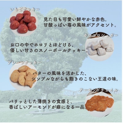 お菓子詰め合わせCセット　クッキー6種類・ドリップコーヒー6袋セット　はつが野テラス【1696658】